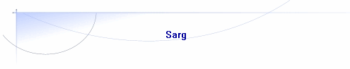  Sarg